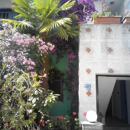 Tassos 2 Pefkochori