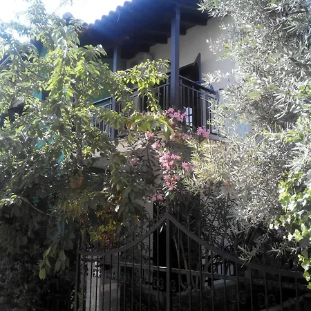 Tassos 2 Pefkochori
