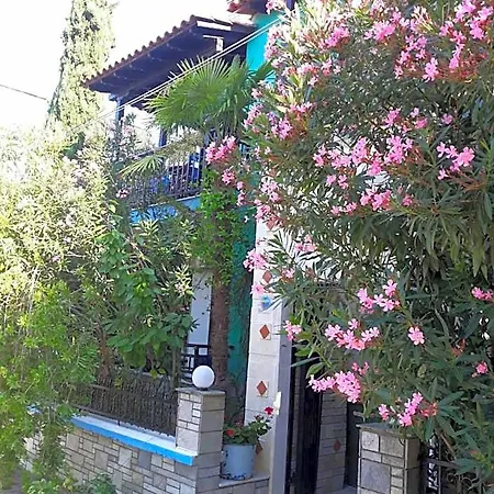 Tassos 2 Pefkochori
