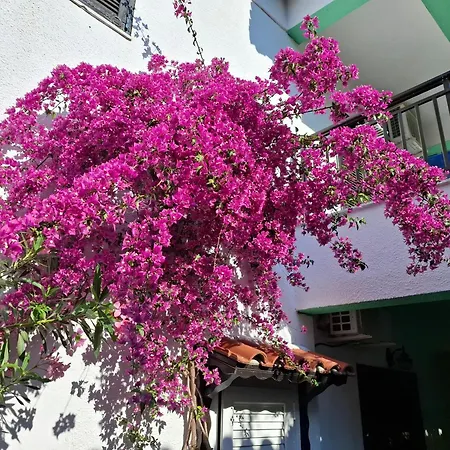 Tassos 2